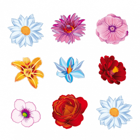 Autocollant Fleur Avec Différentes Couleurs De Fleurs Clipart